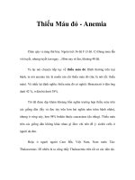 Thiếu Máu đỏ - Anemia pdf