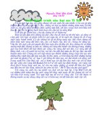 Câu chuyện về giọt mưa tí xíu