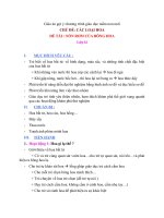 Giáo án: Nón rơm của bông hoa(CT GD Mn mới)