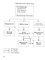 Giáo Trình Nội Dung Và Viết Báo Cáo Thực Tập Ngành Kế Toán - Trần Long phần 5 pot