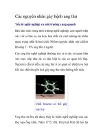 Các nguyên nhân gây bệnh ung thư pptx