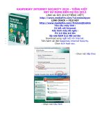 KASPERSKY INTERNET SECURITY 2010 - TIẾNG VIỆT