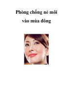 Phòng chống nẻ môi vào mùa đông pot