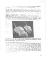 Gen trị liệu: Phương pháp trị liệu bằng Gen - Ts.Nguyễn Văn Kỉnh phần 7 doc