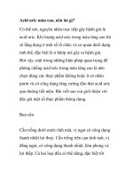 Acid uric máu cao, nên ăn gì? potx