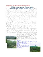 Một số biện pháp bảo vệ môi trường