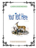 bìa sách & bìa giáo án 21