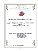 Tiểu luận “Nỗ lực Việt Nam trong quá trình hoi65i nhập ASEAN 1986-1995” doc