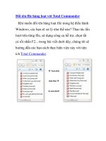 Đổi tên file hàng loạt với Total Commander potx
