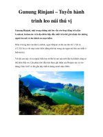 Gunung Rinjani – Tuyến hành trình leo núi thú vị pdf