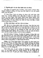 Kỹ Thuật Trồng Cà & Cà Chua - Đường Hồng Dật phần 3 pdf