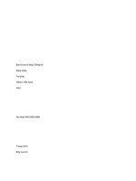 Nâng cao hiệu quả thu hút và sử dụng FDI ở Việt Nam potx