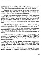 Kỹ Thuật Trồng Cà & Cà Chua - Đường Hồng Dật phần 5 potx