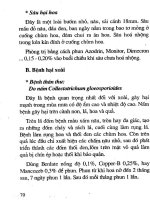 [Nông Nghiệp] Trồng Xoài, Na, Đu Đủ, Hồng Xiêm - Gs.Ts.Trần Thế Tục phần 6 pps