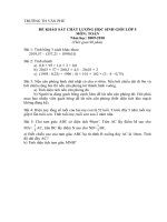 2 đề Toán khảo sát HSG lớp 5