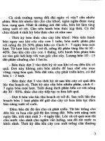 Kỹ Thuật Trồng Cà & Cà Chua - Đường Hồng Dật phần 2 pdf