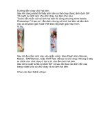 hướng dẫn chạy ảnh hai bên website