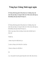 Vòng kẹo Giáng Sinh ngọt ngào pot