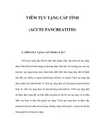 VIÊM TỤY TẠNG CẤP TÍNH (ACUTE PANCREATITIS) ppt