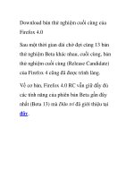 Download bản thử nghiệm cuối cùng của Firefox 4.0 pot