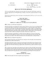 Luật tố tụng hình sự