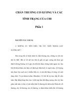 CHẤN THƯƠNG CƠ-XƯƠNG VÀ CÁC TÌNH TRẠNG CỦA CHI - Phần 1 pptx