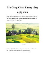 Mù Căng Chải: Thung vàng ngày mùa pot