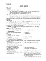 Giáo Án Tiếng Việt Lớp 3_Tuần 20 pps