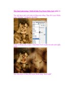 Thủ thuật photoshop: Thiết kế hiệu Ứng Poster Điện Ảnh (phần 2) doc