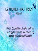 Báo cáo: Các nghiên cứu điển hình của trường phái Hiện đại hóa phục hưng (trường phái Hiện đại hóa mới) potx
