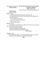 De Thi TS mon Van vao 10