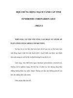 HỘI CHỨNG ĐỘNG MẠCH VÀNH CẤP TÍNH SYNDROME CORONARIEN AIGU - PHẦN I pot