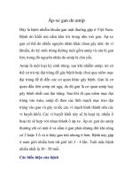 Áp-xe gan do amip pptx