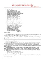 BÀI CA CHÚC TẾT THANH NIÊN              Phan Bội Châu