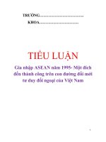 Tiểu luận “Gia nhập ASEAN năm 1995- Một đích đến thành công trên con đường đổi mới tư duy đối ngoại của Việt Nam” ppt
