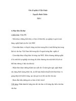 Văn tế nghĩa sĩ Cần Giuộc - Nguyễn Đình Chiểu (1) pdf