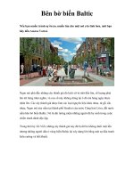 Bên bờ biển Baltic pptx