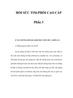 HỒI SỨC TIM-PHỔI CAO CẤP - Phần 3 potx