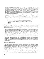 Gen trị liệu: Phương pháp trị liệu bằng Gen - Ts.Nguyễn Văn Kỉnh phần 6 pptx