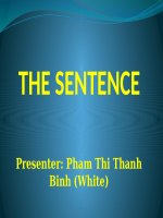 THE SENTENCE (A sentence is a group of words which expresses a complete thought.)
