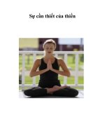 Sự cần thiết của thiền pptx