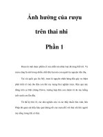 Ảnh hưởng của rượu trên thai nhi - Phần 1 pot