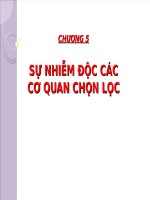 Giáo trình độc học môi trường - Chương 5 pps