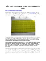 Tấm thảm chùi chân & tủ giày dép trong phong thủy ppsx