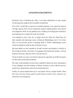 Nghiên cứu thăm dò về việc dạy và học phần đọc hiểu TOEIC tại EQuest academy