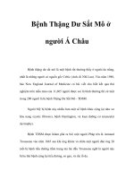 Bệnh Thặng Dư Sắt Mô ở người Á Châu pptx