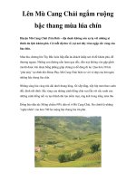 Lên Mù Cang Chải ngắm ruộng bậc thang mùa lúa chín doc