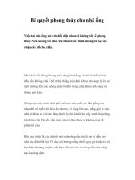 Bí quyết phong thủy cho nhà ống potx