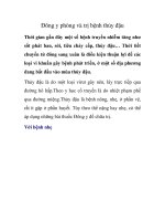 Đông y phòng và trị bệnh thủy đậu pot