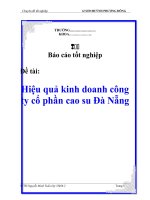 Báo cáo tốt nghiệp: Hiệu quả kinh doanh công ty cổ phần cao su Đà Nẵng pps